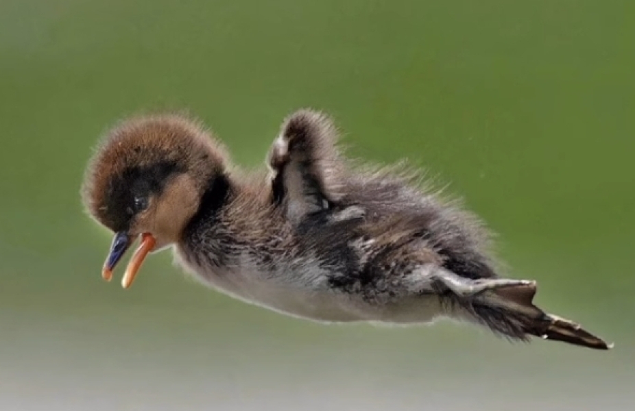 The Bluestocking Inn, cocktails and cocoa and all