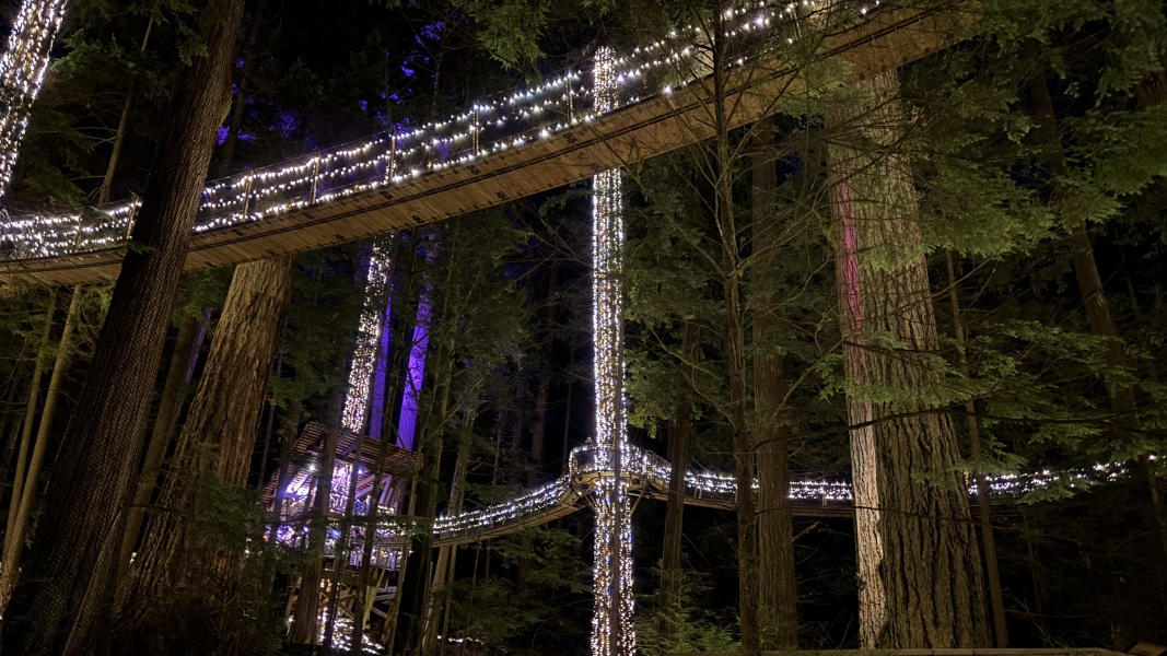 Come and tell us your dull and unexciting news 35: Calmly through the day