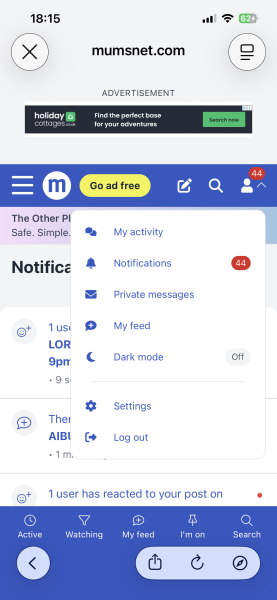 Private messaging disappeared/ disabled?