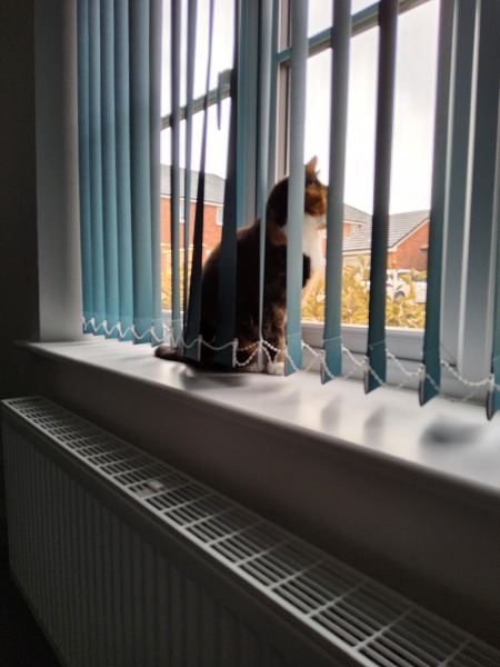 Anyone else have a neighbour that monitors everyone?