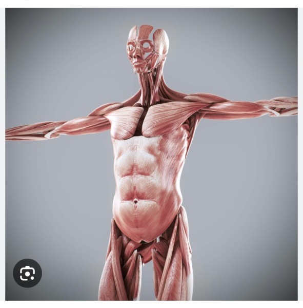 Royal Style: Hoping for Yuletide shimmer, but not too many green coats!