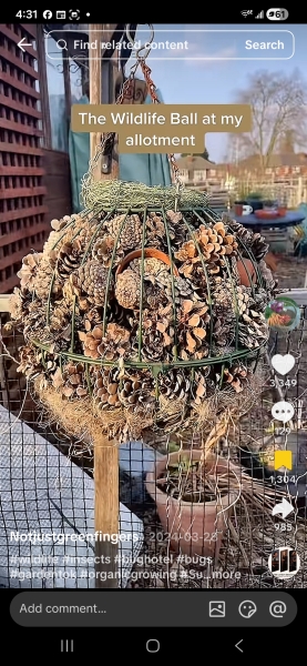 What have you done in the garden today? Part 7