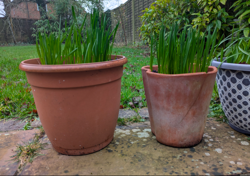 What are you up to today if you have a chronic illness? Thread 5