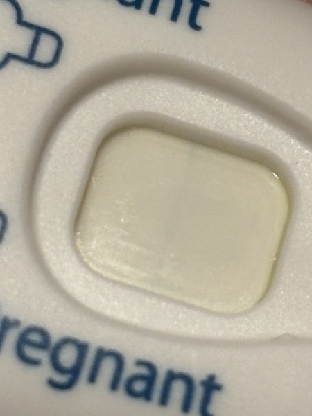 Early Pregnancy Test