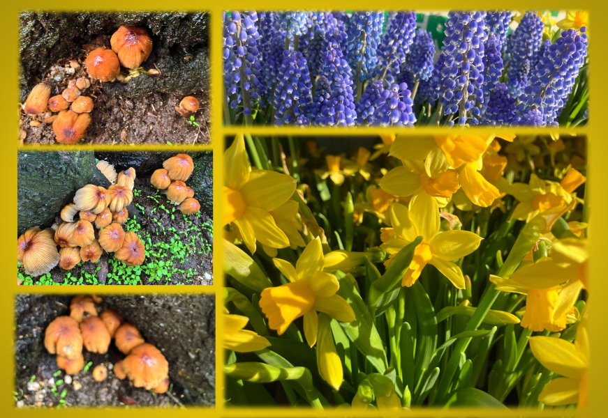 Year round Nigel Slater discussion thread - Part 3