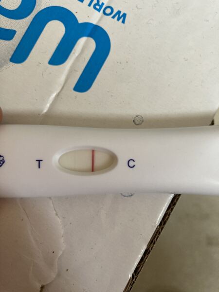 Letrozole / Clomid 2026