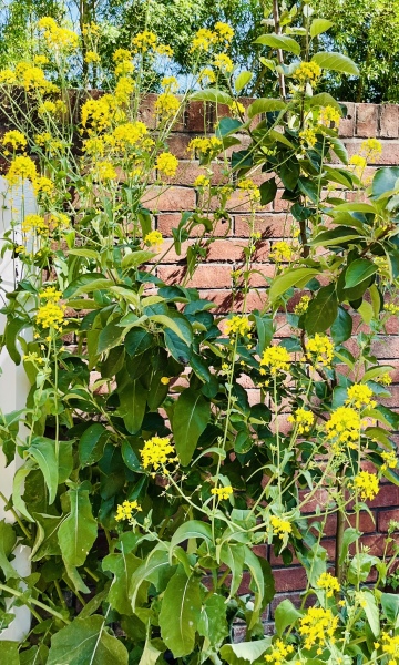The Bluestocking Women’s Pub: Where Clever Women Sit and Think, While Gerbils Run the Bar.