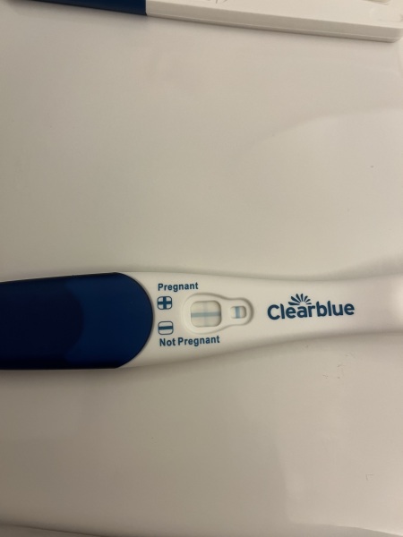 Pregnancy Test Lines