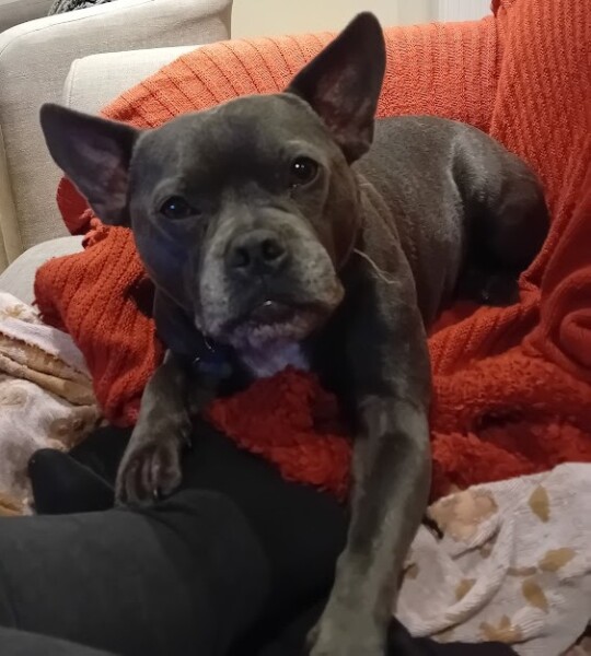 The Continuing Support Thread for Anyone Trying to Lead an Alcohol-Free Life Spring 2026