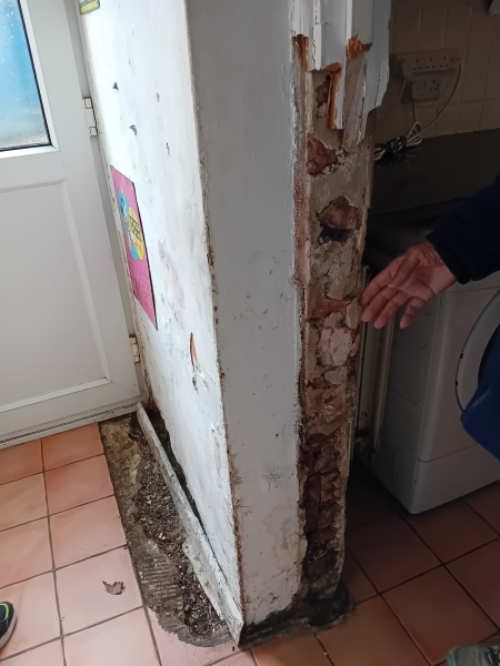 Damp? Cause? Costly to fix?