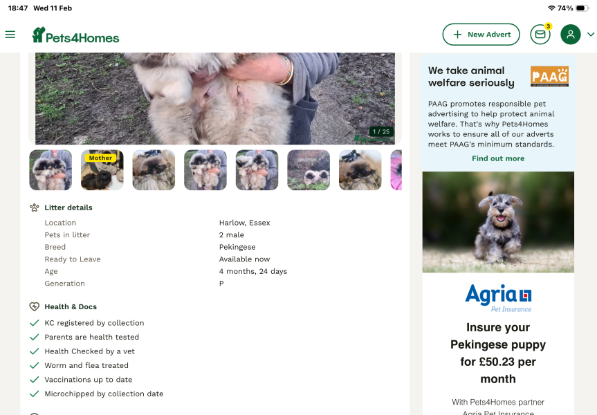 Pets4homes a trustworthy way to buy a puppy?