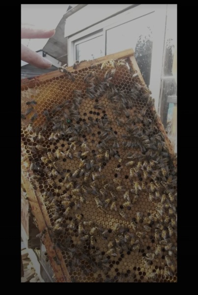 Year round Nigel Slater discussion thread - Part 3