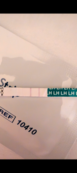 TWW feels like forever