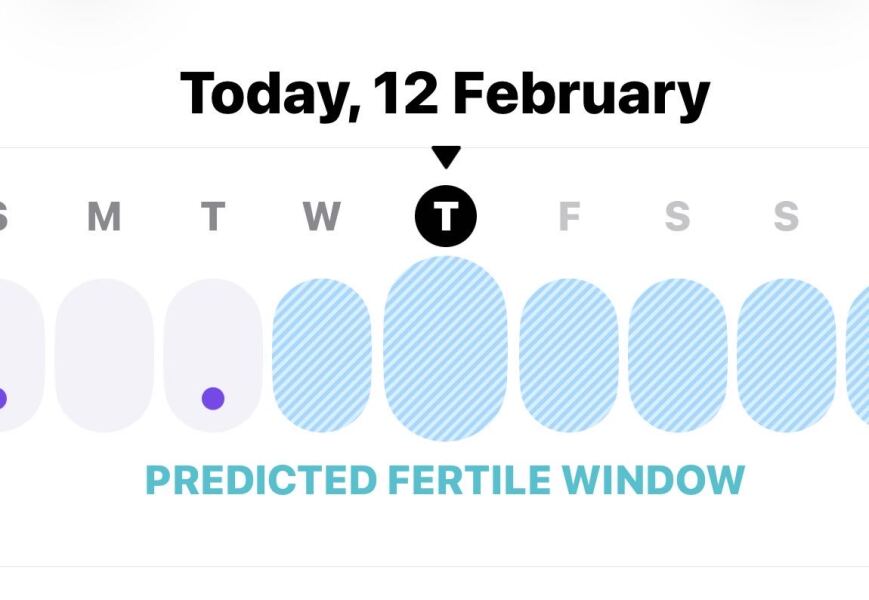 TTC / TWW Feb March 2026