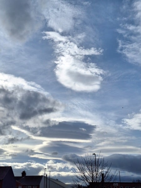 Year round Nigel Slater discussion thread - Part 3