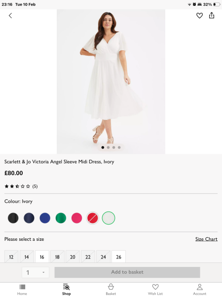 Help Me find a wedding dress!