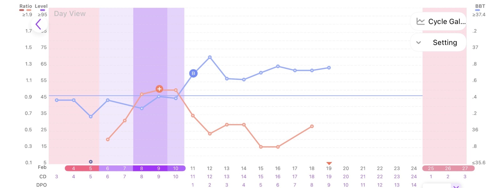 BBT charting - beginner!