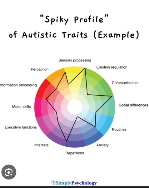 Explain to me why you offence is caused by saying things like 'mildly autistic' etc.