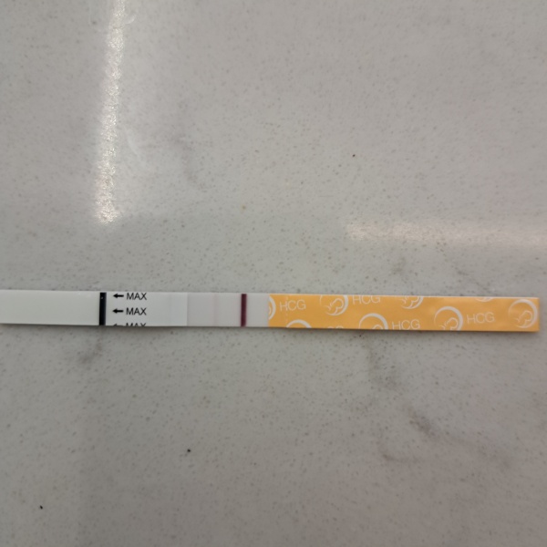 13 DPO test