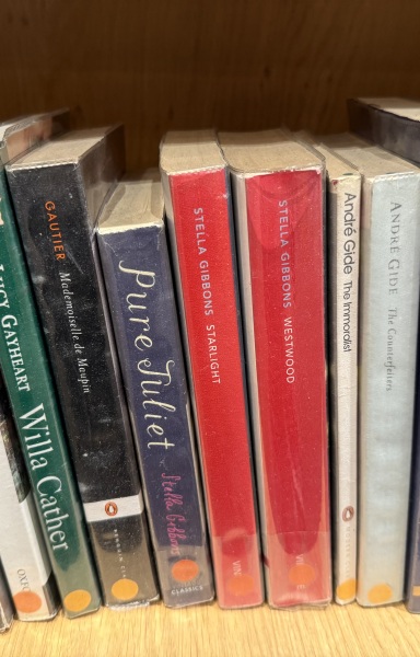 My year with Stella...