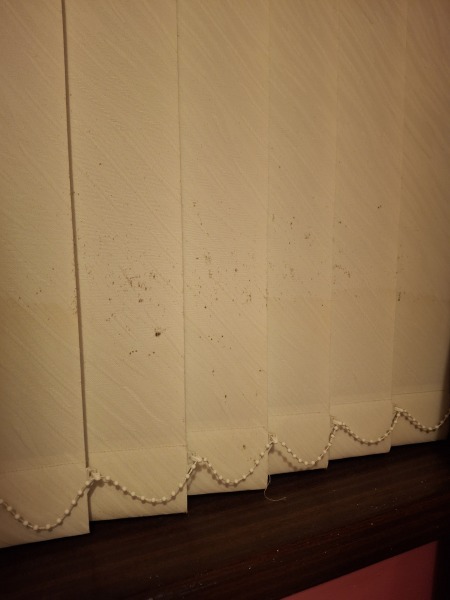 Mold removal help
