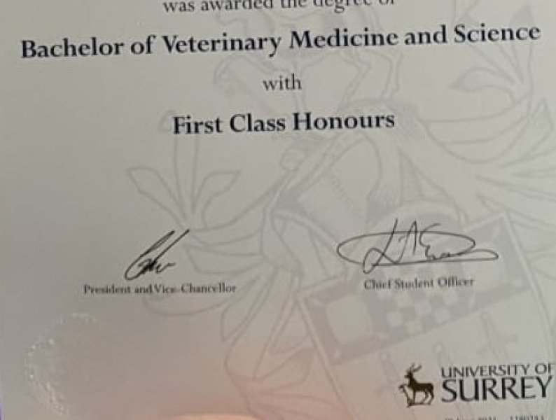 Veterinary medicine timetable