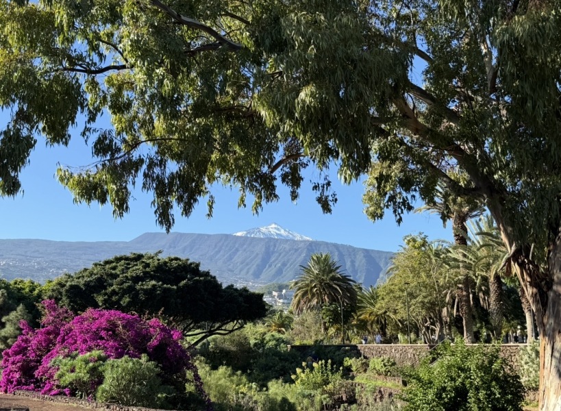 Year round Nigel Slater discussion thread - Part 3