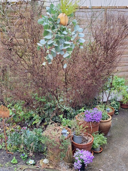 Year round Nigel Slater discussion thread - Part 3