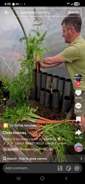 What have you done in the garden today? Part 7