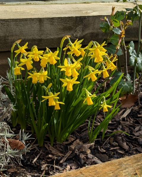 Year round Nigel Slater discussion thread - Part 3