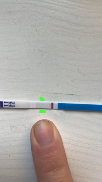 February FET 2026