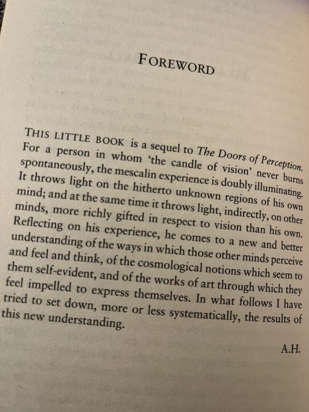 Ayahuasca, LSD, meditation etc - to ask if you or anyone you know tried and what’s it like