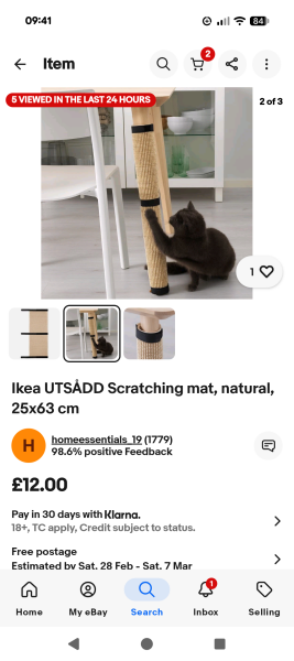 1st time cat owner - recommend me some things