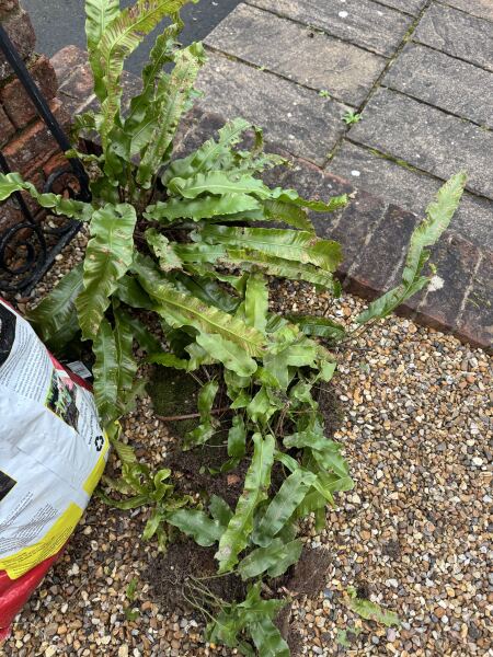 Can anyone tell me what these are?