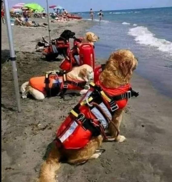 A hill you will die on.