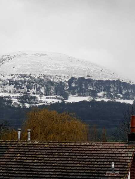 Just Supporting (Continued)