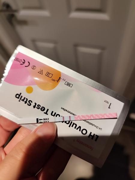 Is this ovulation test positive?