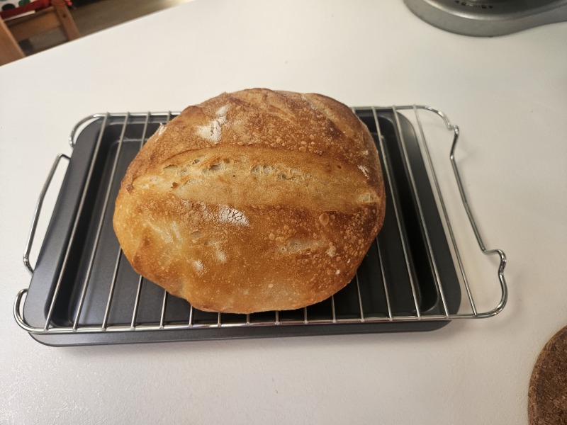 Sourdough bakers!