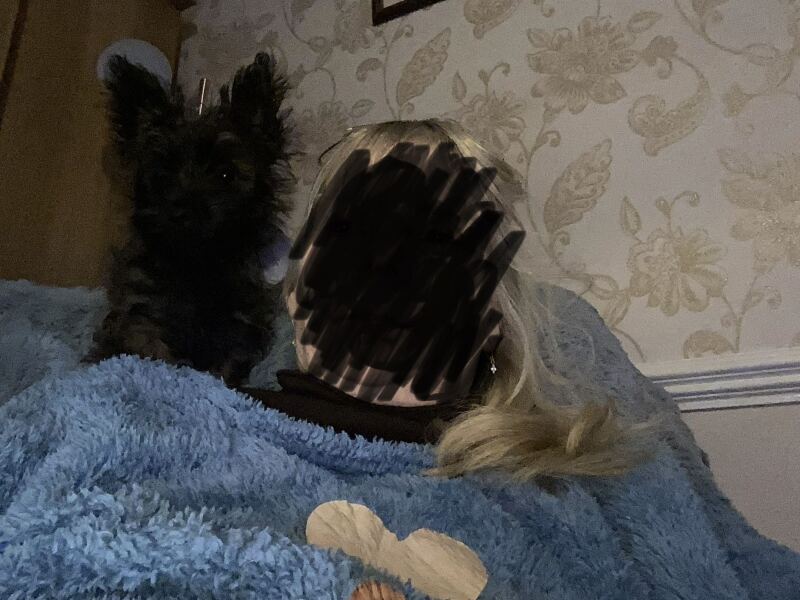 Does anyone else have a chihuahuaXparrot?