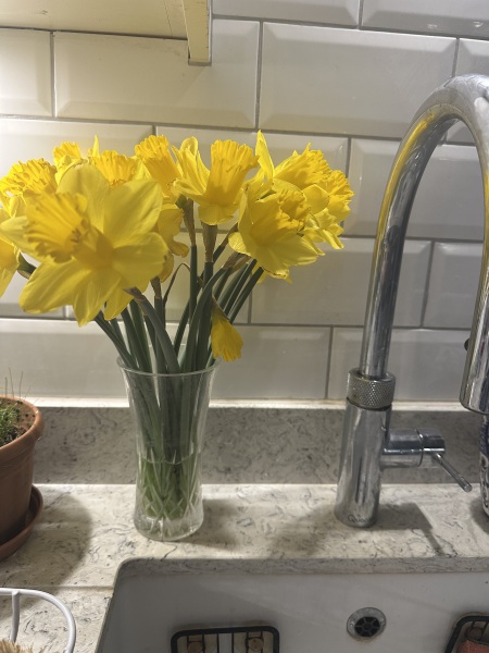 Year round Nigel Slater discussion thread - Part 3