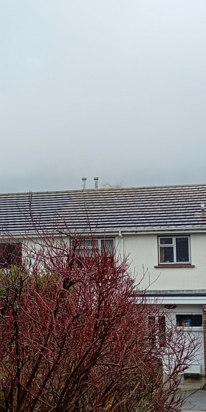 February faffing, wig mischieving, pancake stuffing, bargain gymnastics and looking forward to Spring Shenanigans ❤️