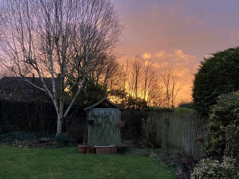 The Bluestocking Women’s Pub: Where Clever Women Sit and Think, While Gerbils Run the Bar.