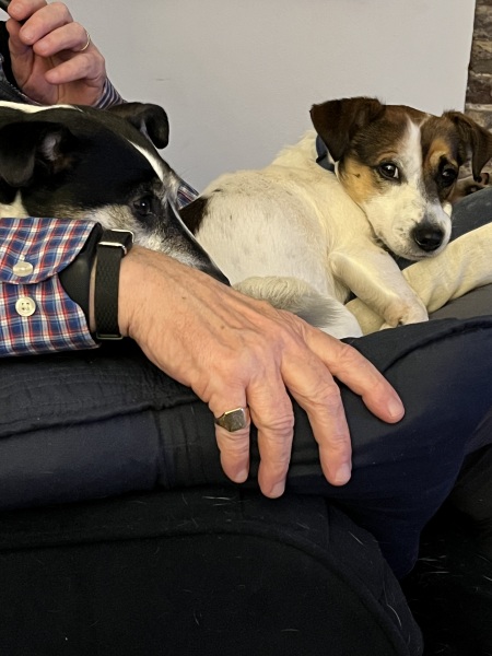 Thread 44 Starmer - Knolraap en lof, schorseneren en prei.