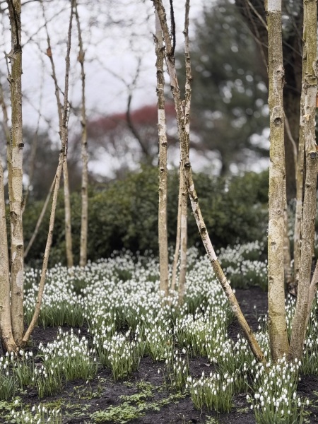 The Great Cancer Recovery part 5