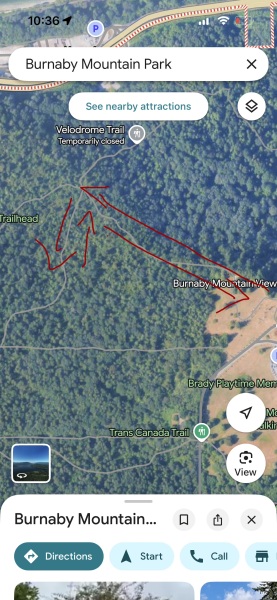 Come and tell us your dull and unexciting news 35: Calmly through the day