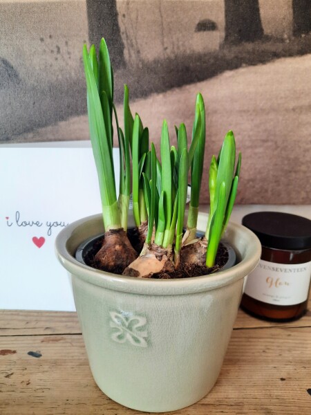 Year round Nigel Slater discussion thread - Part 3