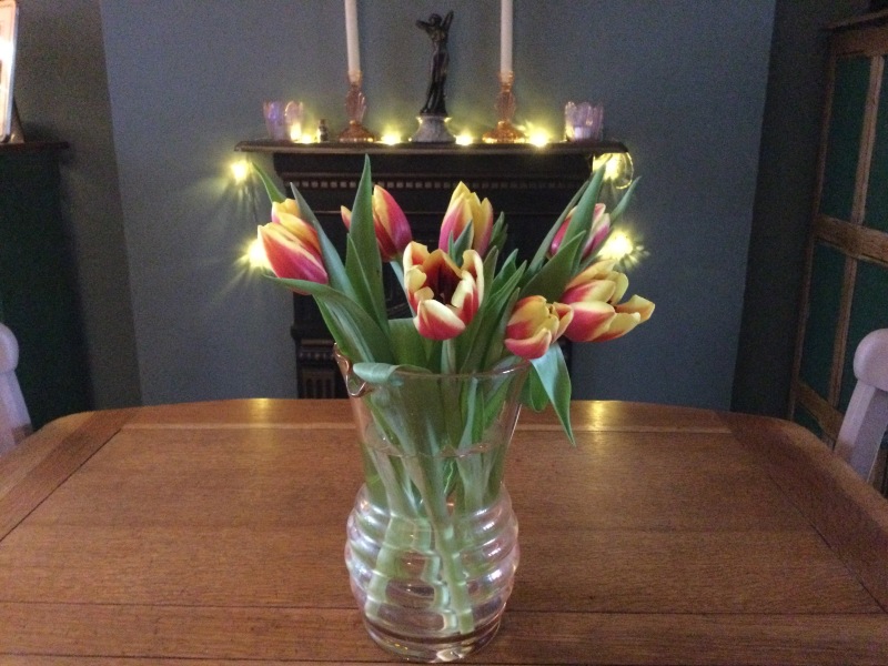 Thread 43 Starmer : il ritorno della luce e la semina del Lathyrus odoratus