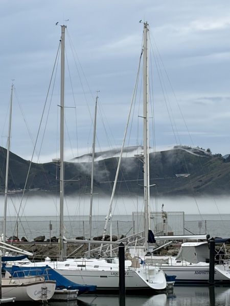 Year round Nigel Slater discussion thread - Part 3