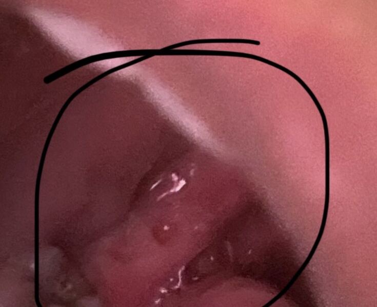 Any dentist or anyone with dental knowledge