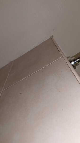 Black mould in hotel room. Pic attached.